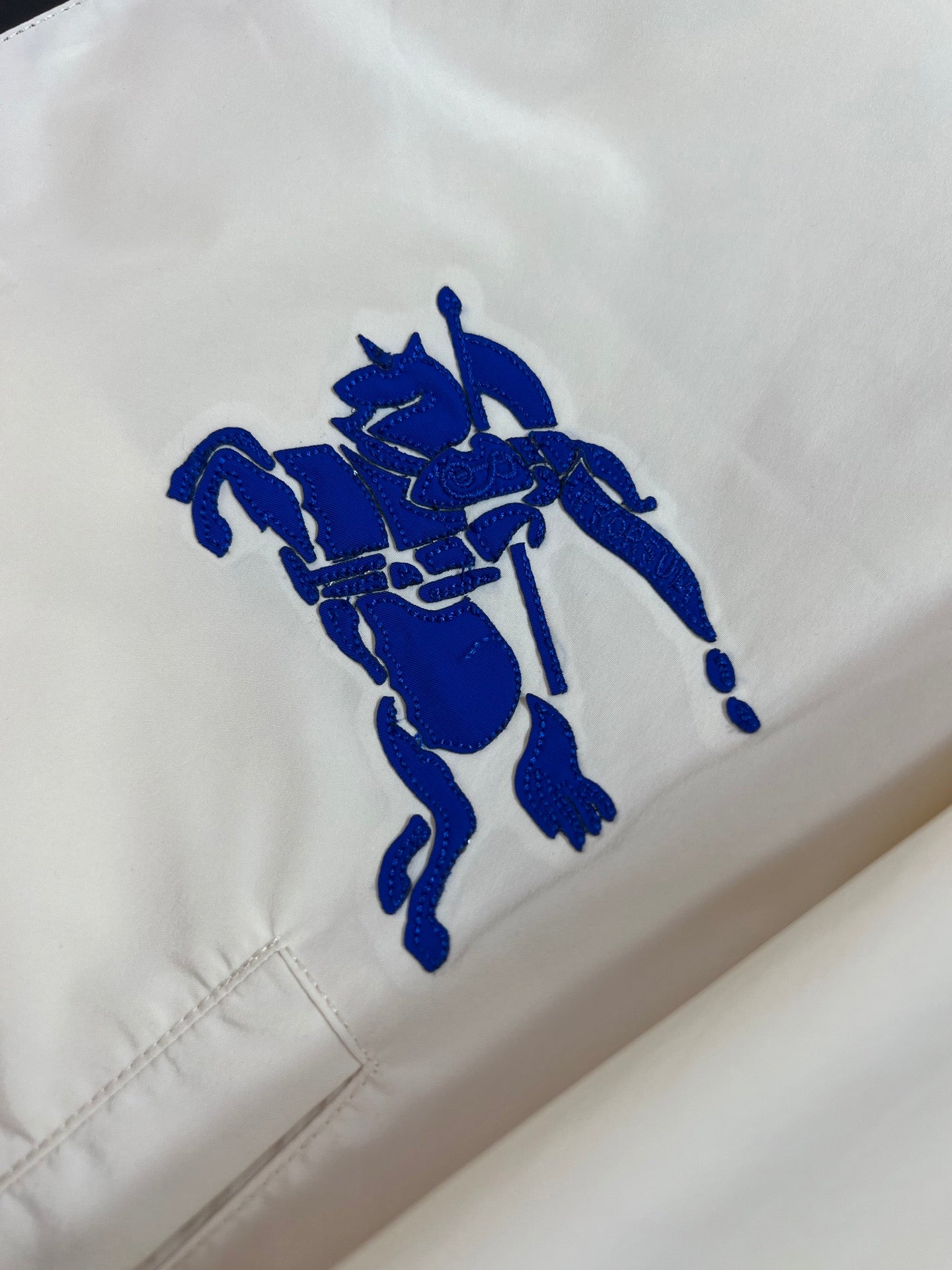 Burberry Wind Jacket