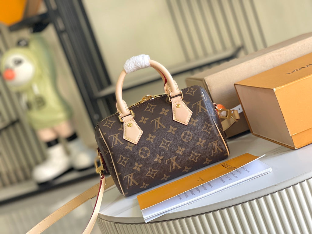 LV Bag