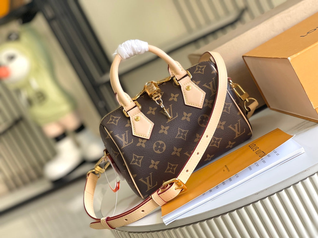 LV Bag
