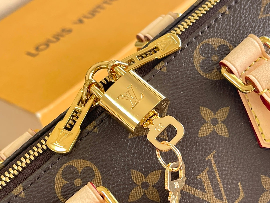 LV Bag